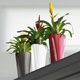 Planters