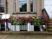 Window Boxes